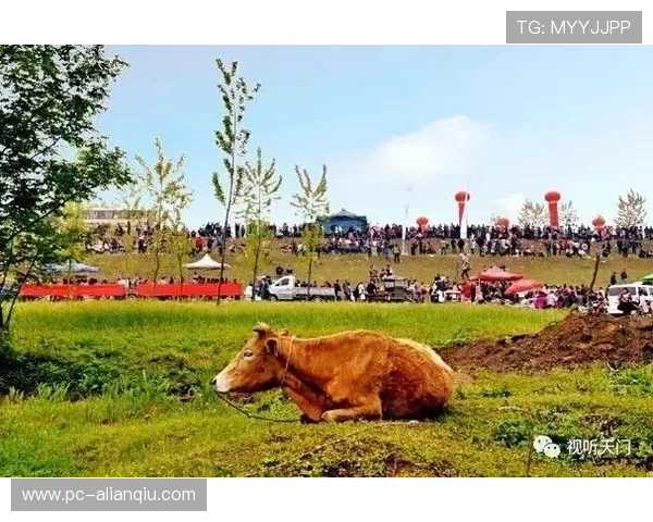 多宝真人来自哪个省份，他的家乡信息全方位披露